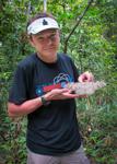 <p>On the Rewa-Annai track: largest moth in South America!On the Rewa-Annai track: largest moth in South America!</p>